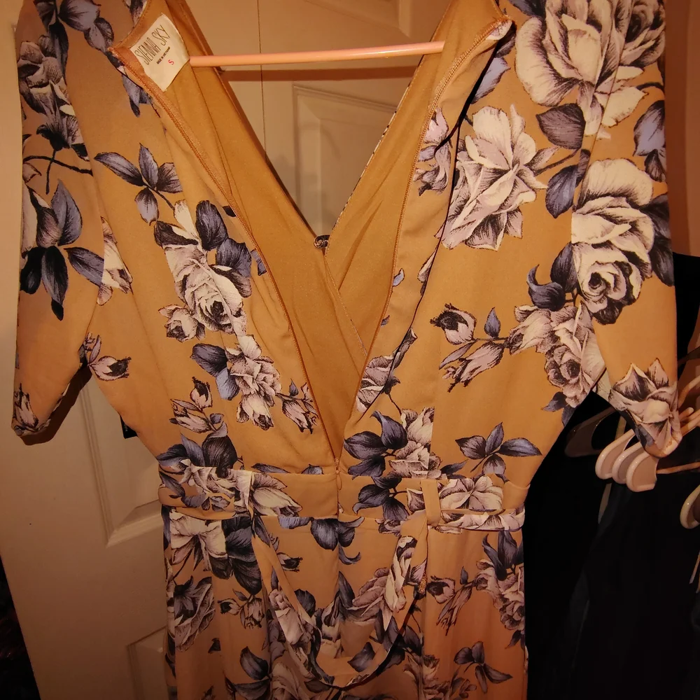 Sienna Sky Tan and Blue Floral Dress S New Nwot
